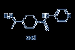 Selleck Chemicals Co Ltd&nbsp;Y-27632 2HCl 10mg 129830-38-2